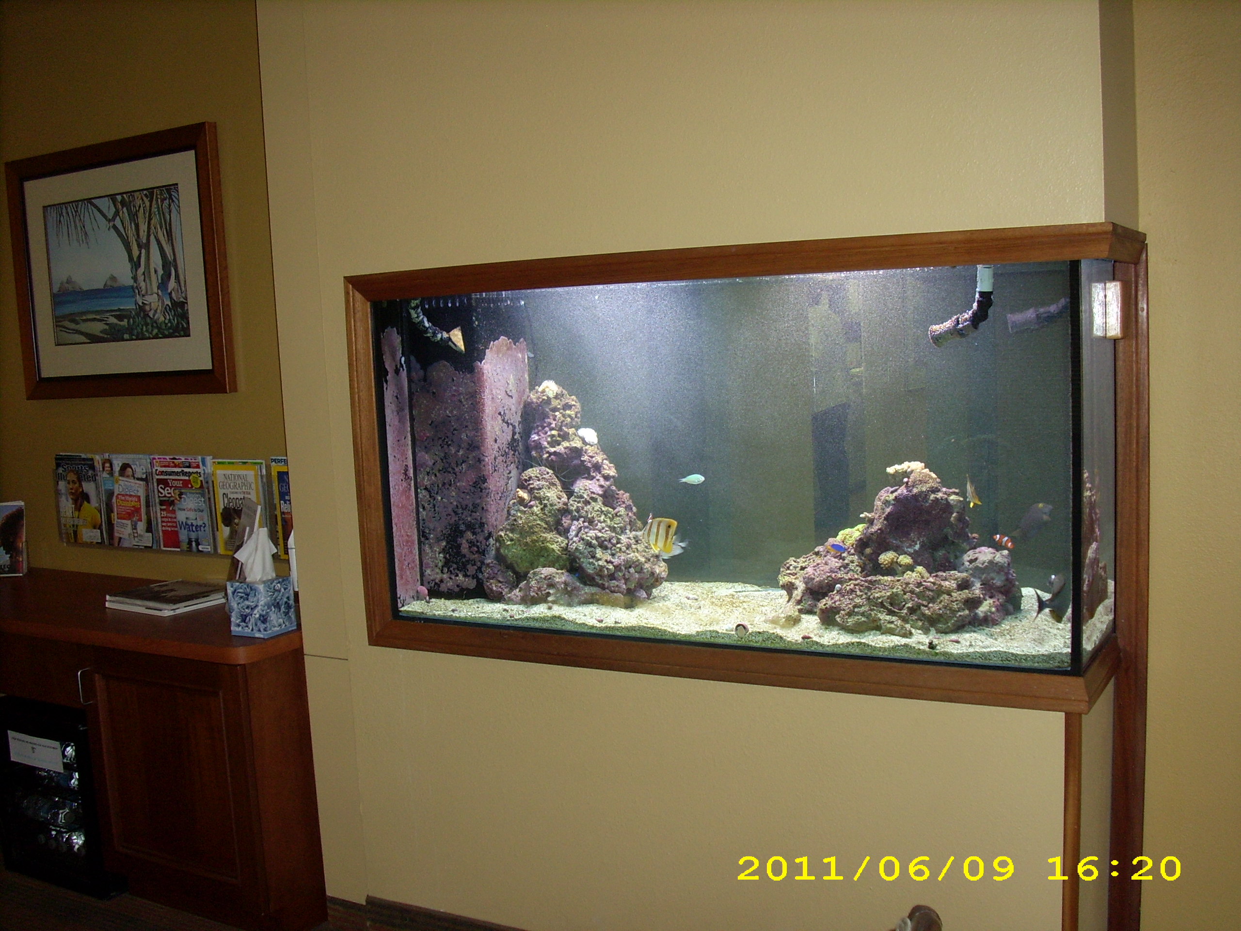 Office Aquarium